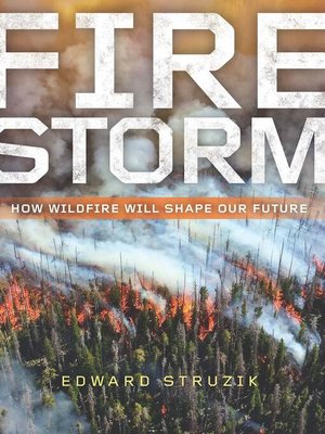Firestorm - ebook